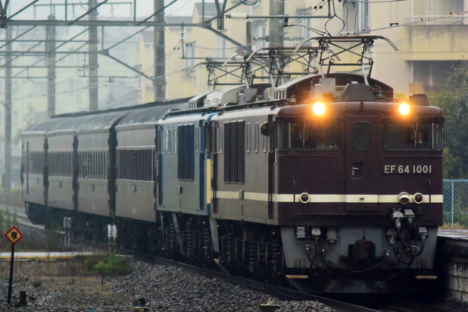 【JR東】EF64-1001・EF64-1052牽引 ELレトロみなかみ 運転を井野駅で撮影した写真