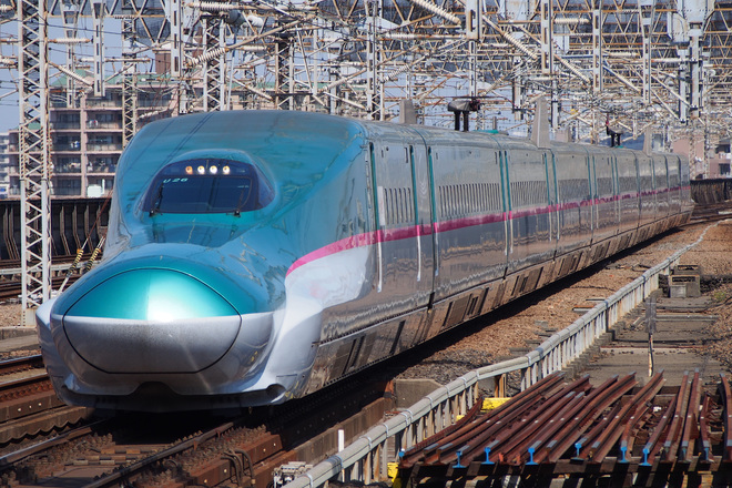 【JR東】E5系に「Treasureland TOHOKU JAPAN」ロゴマーク貼付を大宮駅で撮影した写真