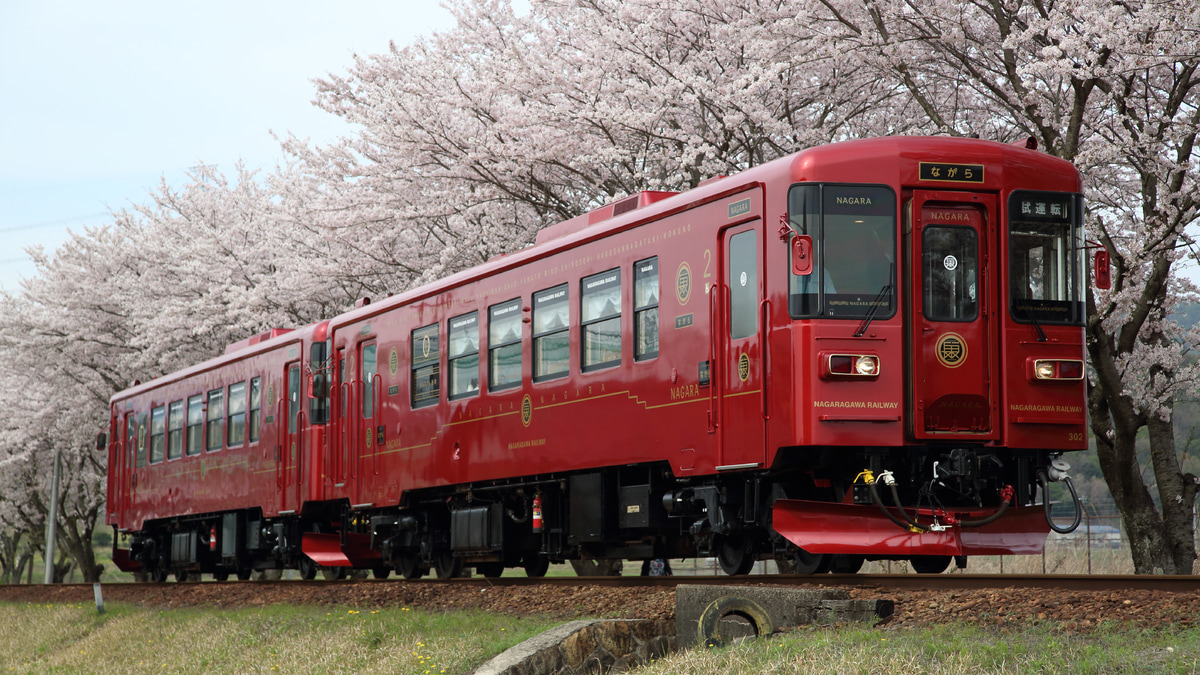 長良川】ナガラ300形301号+302号観光列車「ながら」公開試運転 |2nd 