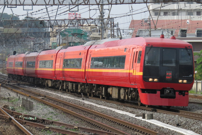 【JR東】253系OM-N01編成使用 「日光83・84号」運転を戸塚駅で撮影した写真