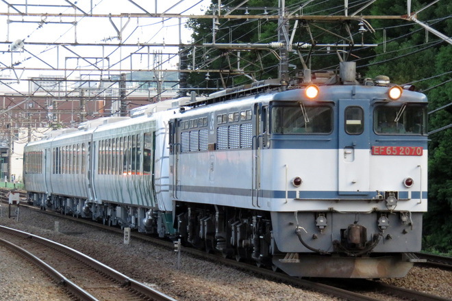 【JR東】HB-E300系リゾートしらかみ「橅編成」 甲種輸送を府中本町駅で撮影した写真
