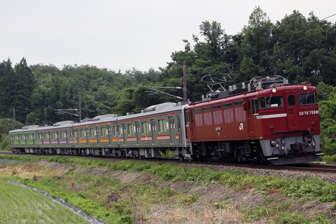 【JR東】仙石線205系M4編成郡山出場配給を松川～金谷川間で撮影した写真