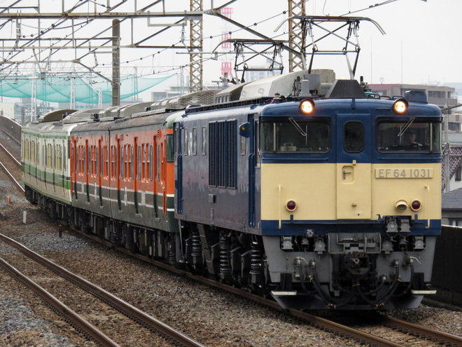 【JR東】115系ニイC1編成(訓練車)+S2編成 長野廃車回送を西浦和駅で撮影した写真