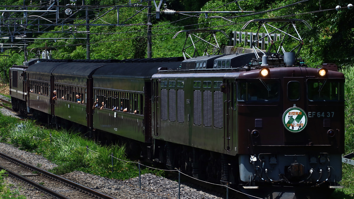 JR東】EF64PP 快速「旧型客車かもしか号」 |2nd-train鉄道ニュース