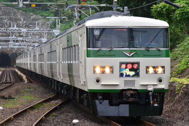 【JR東】185系C2編成ストライプ塗装になり運用復帰を根府川駅で撮影した写真
