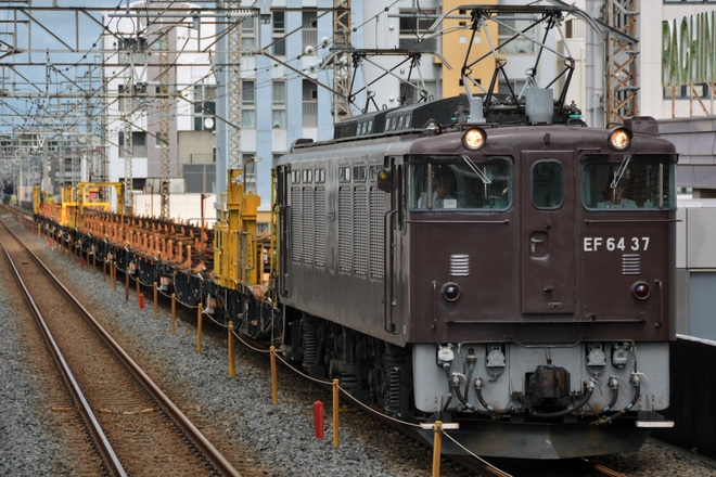 【JR東】EF64-37牽引新津工臨を南浦和駅で撮影した写真