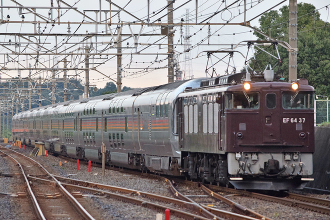 【JR東】EF64-37牽引 信州カシオペアクルーズ運転 往路を東浦和駅で撮影した写真