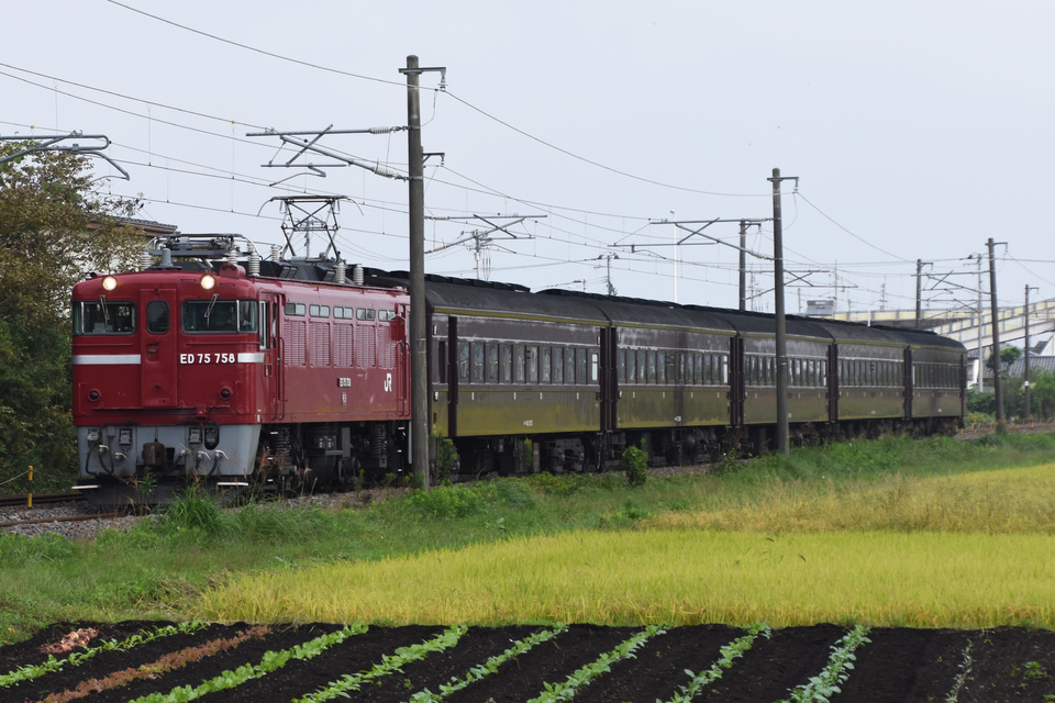 【JR東】レトロ会津まつり号 旧型客車返却回送の拡大写真
