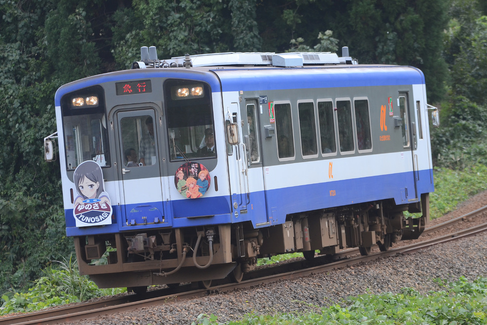 【のと鉄】NT200形 団体臨時列車「急行ゆのさぎ号」運転の拡大写真