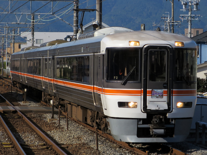 【JR海】373系「急行 南アルプスはやかわ」を新蒲原駅で撮影した写真