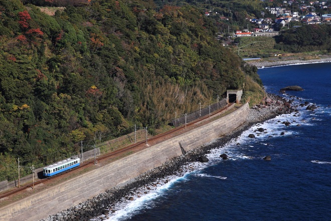 【伊豆急】100系 レトロ電車ぶらり旅を伊豆稲取～今井浜海岸間で撮影した写真