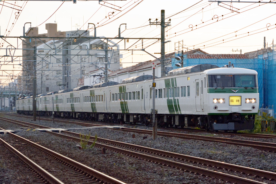 【JR東】185系「湘南国際マラソン」開催に伴う臨時列車運転の拡大写真