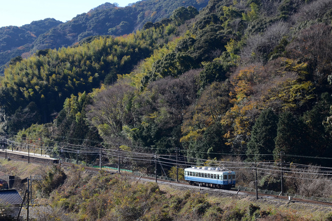 【伊豆急】100系 レトロ電車ぶらり旅を稲梓～河津間で撮影した写真