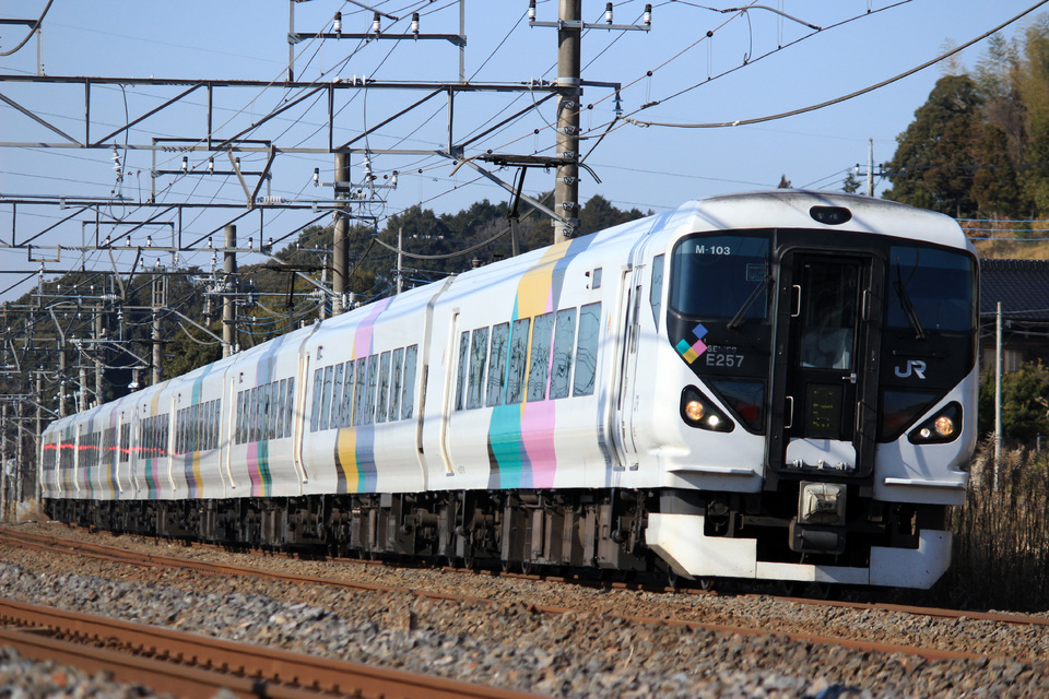 【JR東】E257系松本車使用「成田山初詣青梅号」の拡大写真