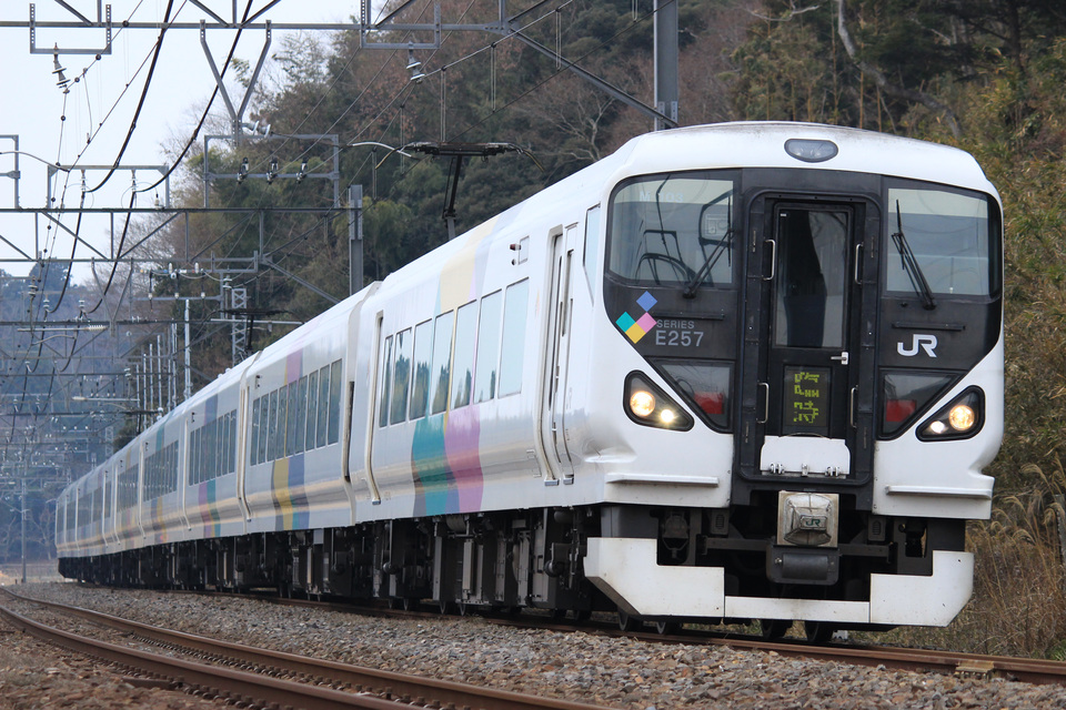 【JR東】E257系松本車使用「成田山初詣やまなし号」の拡大写真
