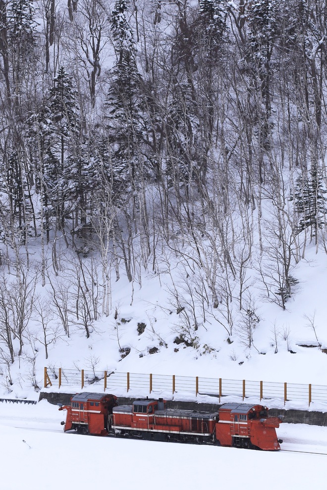【JR北】宗谷本線 排雪列車運転を筬島～音威子府間で撮影した写真
