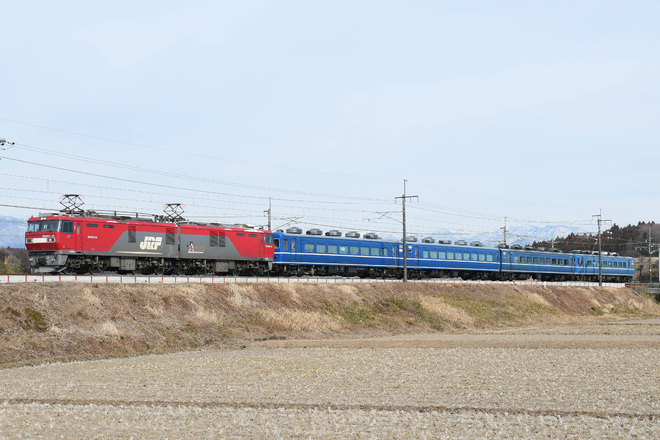 【東武】14系客車4両甲種輸送を片岡～蒲須坂間で撮影した写真