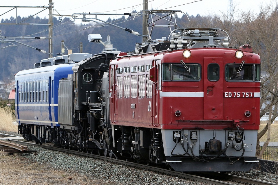 【JR東】C58-239 大宮総合車両センター出場の拡大写真