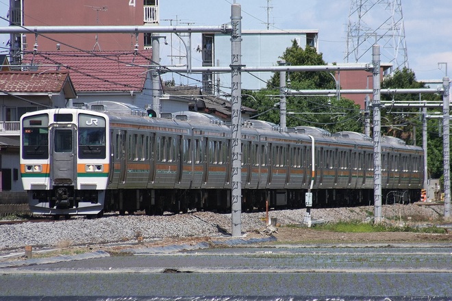 【JR東】211系C4編成 団体列車ひまわり号運転 を北鴻巣～鴻巣間で撮影した写真