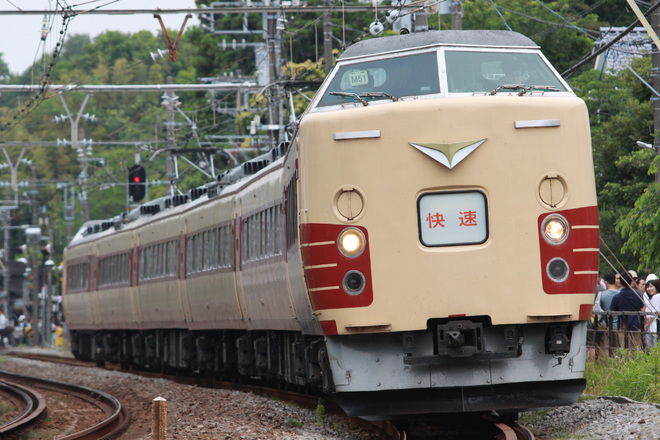 【JR東】快速「鎌倉あじさい号」運転を北鎌倉～鎌倉間で撮影した写真