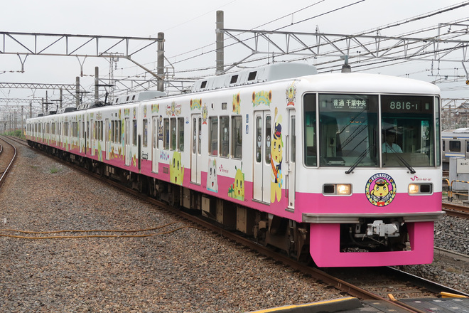 【新京成】8800形8816編成「ふなっしートレイン」運行開始を京成幕張本郷駅で撮影した写真