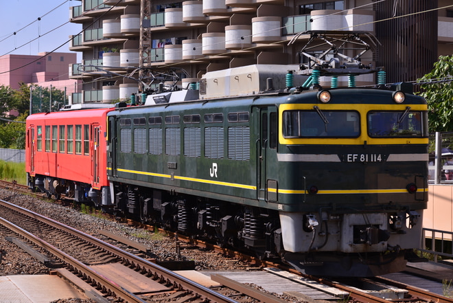 【JR西】キハ120-205 後藤総合車両所出場を茨木駅で撮影した写真