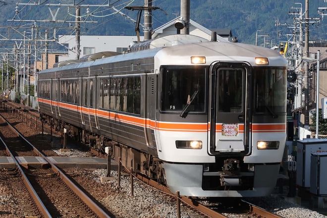 【JR海】臨時急行「いちかわみさと号」運転を新蒲原駅で撮影した写真