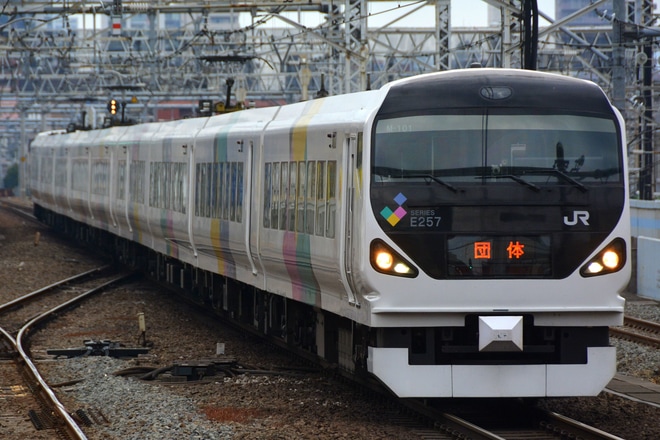 【JR東】E257系M101編成利用 団体列車を中野駅で撮影した写真