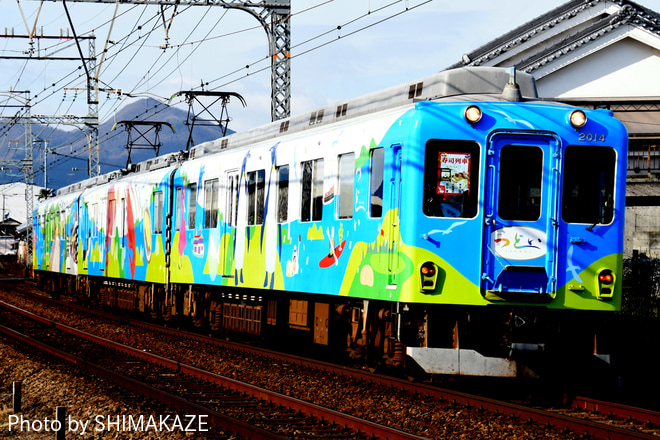 【近鉄】初詣寿司列車を大和高田～松塚間で撮影した写真