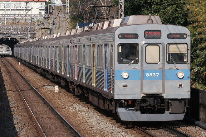 【東急】8500系8637Fのドアがカラフルにを田奈駅で撮影した写真