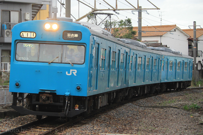 【JR西】羽衣線での103系運用終了を鳳駅で撮影した写真