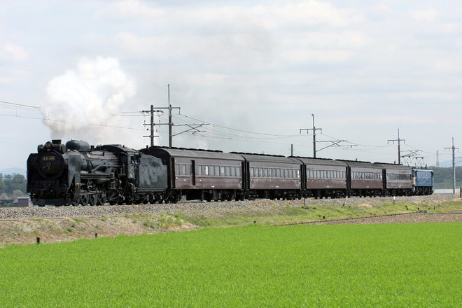 【JR東】両毛線D51-498＋旧客＋EF60-19試運転を小山～思川間で撮影した写真
