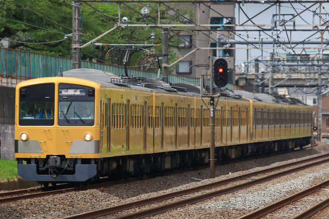 【西武】新101系249F(ツートンカラー)多摩川線へ甲種輸送を所沢～秋津間で撮影した写真