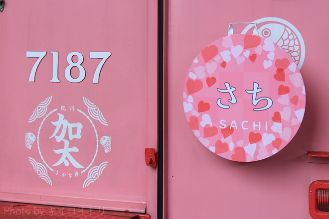 【南海】『めでたい電車』愛称を命名を和歌山市駅で撮影した写真
