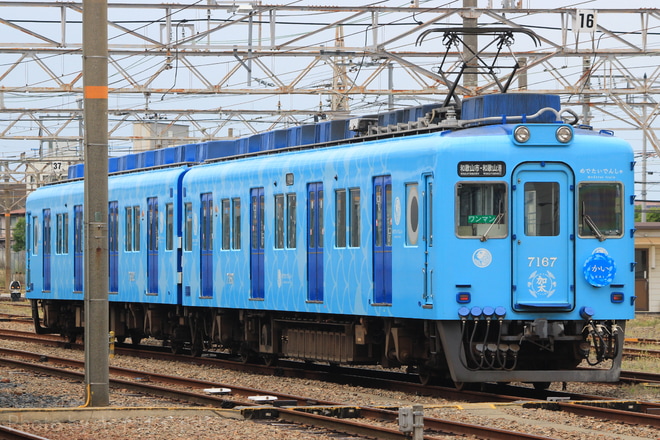 【南海】『めでたい電車』愛称を命名を和歌山市駅で撮影した写真