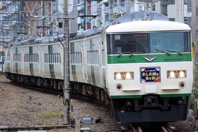 【JR東】185系B2編成使用「下田あじさい・きんめ号」運転を恵比寿駅で撮影した写真