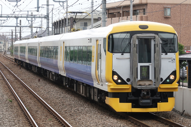 【JR東】E257系使用の臨時快速「鎌倉あじさい号」運転を西府駅で撮影した写真