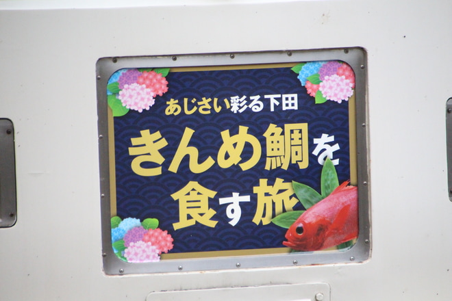 【JR東】185系B2編成使用「下田あじさい・きんめ号」運転を池袋駅で撮影した写真
