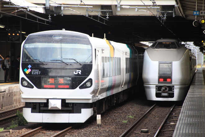 【JR東】E257系モトM-103編成 尾久車両センター疎開回送を大宮駅で撮影した写真