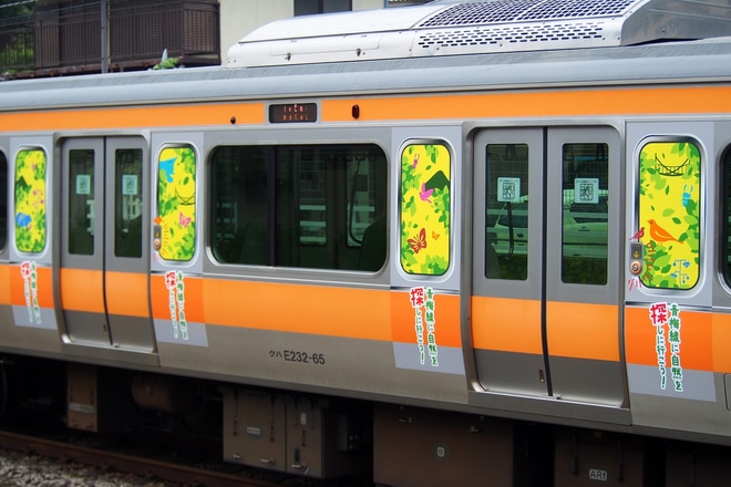 【JR東】E233系青465編成「青梅線に自然を探しに行こう!」ラッピングを古里駅で撮影した写真
