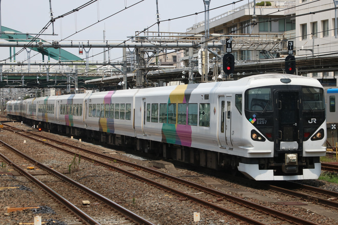【JR東】E257系モトM-110編成 尾久疎開返却回送を大宮駅で撮影した写真