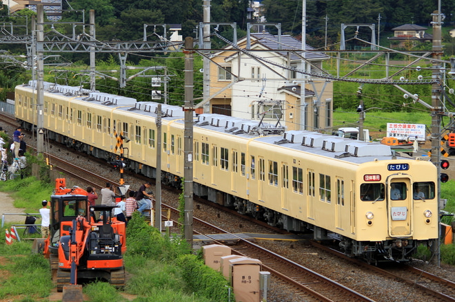 【東武】8000系8111Fによる団体臨時列車「たびじ」運行を大和田～大宮公園間で撮影した写真