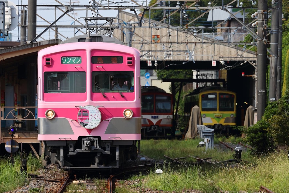 【流鉄】5000形5001F「さくら」号仕様で運転開始の拡大写真