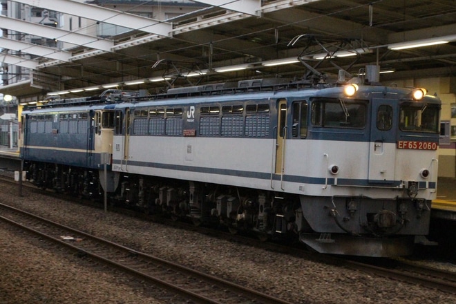 【JR貨】EF65-2092国鉄色になり大宮車両所出場を新座駅で撮影した写真