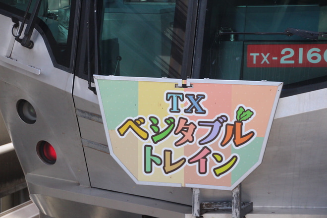 【TX】『TXベジタブルトレイン』運行開始を北千住駅で撮影した写真