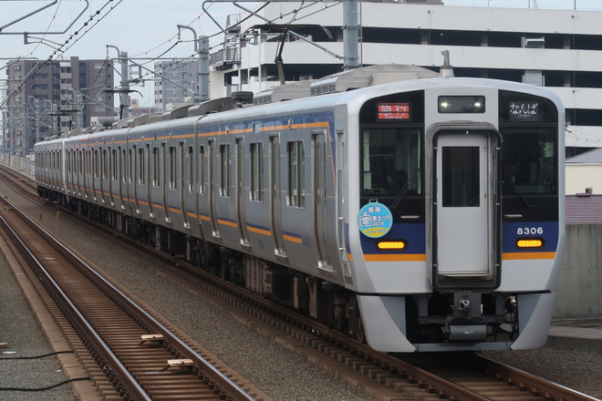 【南海】「南海電車まつり2018」ヘッドマーク掲出を松ノ浜駅で撮影した写真