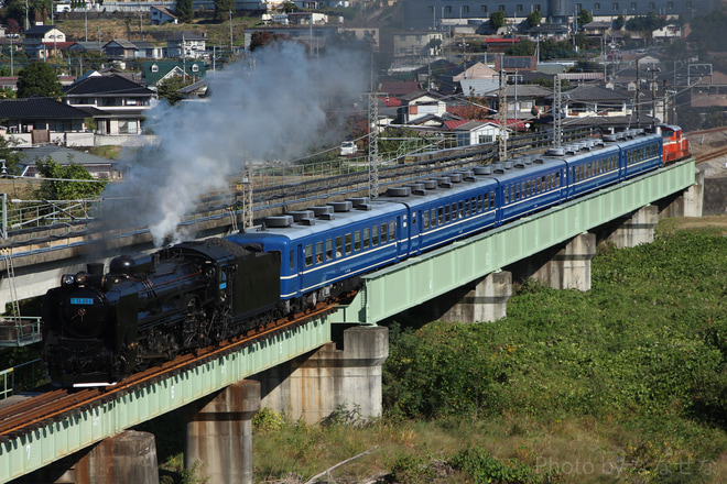 【JR東】臨時快速「SL/DL群馬県民の日」運行を群馬八幡～安中間で撮影した写真