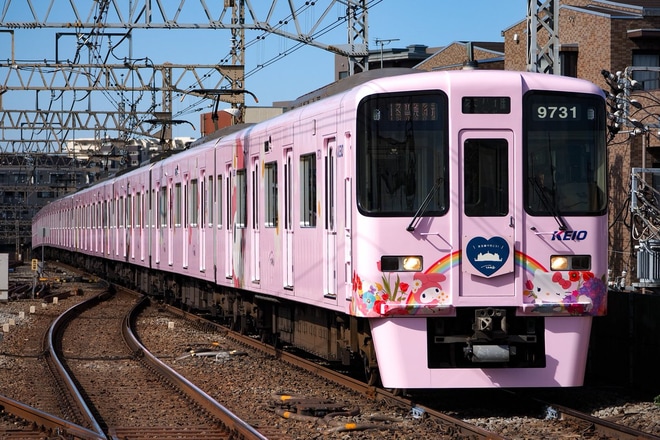 【京王】サンリオキャラクターをデザインしたフルラッピングトレイン運行開始 を八幡山駅で撮影した写真