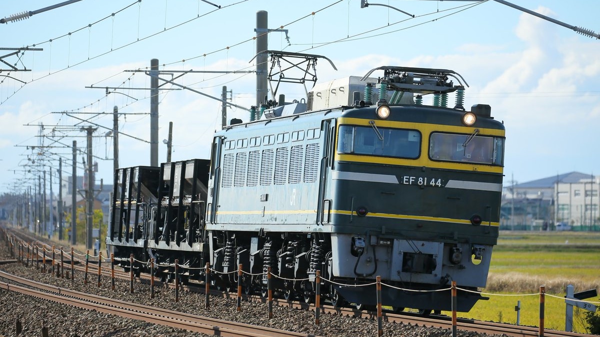 Amazon | トミックス EF81-103（トワイライト色）ホキ800×2両