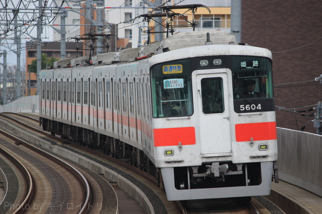 【阪神】『KOBE ルミナリエ』副標を掲出を鳴尾駅で撮影した写真